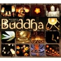 Beginner's Guide to Buddha