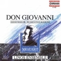 Mozart: Don Giovanni - Harmoniemusik