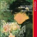 Famous Opera Choruses / Maurizio Arena, Maggio Musicale