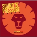 Sound 'N' Pressure Story