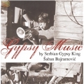 Gypsy Music - By Serbian Gypsy King