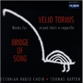 BRIDGE OF SONG:TORMIS