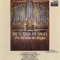 The Buxtehude Organ in Torrloesa