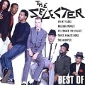 Best Of The Selecter, The