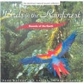 Birds in the Rainforest