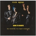 Bang To Rights: The Essential Vice Squad Collection