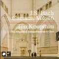 J.S. Bach: Cantatas Vol 16 / Koopman, et al