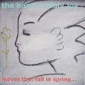 Leaves That Fall In Spring (Seminal Moments 1984-2004)