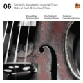 Elgar: Symphony No.2 in E flat Op.63 & Hoddinott: Investiture Dances Op.66 / Owain Arwel Hughes(cond), National Youth Orchestra of Wales