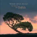 Wide Open Road : The Best Of The Triffids