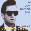 Boy Named Sue, A (Johnny Cash Revisited)