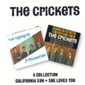 Collection, The/California Sun - She Loves You