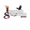 Lynyrd Skynyrd Story, The