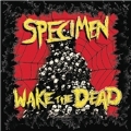 Wake The Dead