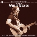 Sound Of Willie Nelson, The