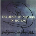 The Brain Of The Dog In Section