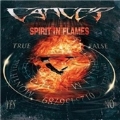 Spirit In Flames