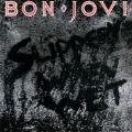 Slippery When Wet : Special Edition<限定盤>