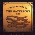 The Secret Life Of The Waterboys 81-85