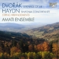 Dvorak: Serenade Op.44 (for String); Haydn: Symphony Concertante Op.84 Hob.I-105 (for String) / Amati Ensemble