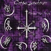 Mirrored Hate Painting