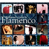 Beginner's Guide to Flamenco[NSBOX090]