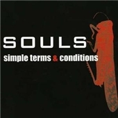 Simple Terms And Conditions