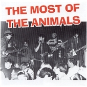 Most Of The Animals, The