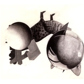 Zanussi Five Zanussi Five