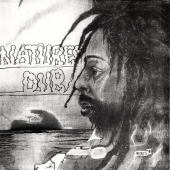 Bullwackie's All Stars/Nature Dub[W306CD]