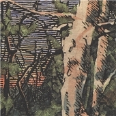 Asleep Many Years In The Woods Asleep Many Years In The Woods