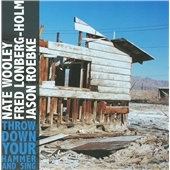 TOWER RECORDS ONLINE㤨Nate Wooley/Fred Longerg-Holm/Jason Roebke/Throw Down Your Hammer And Sing[PRTR40222]פβǤʤ2,290ߤˤʤޤ