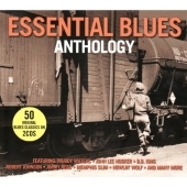 Essential Blues Anthology[NOT2CD271]