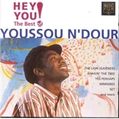 Hey You (The Essential Collection 1988-1990)