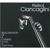 Reincarnation Of A Lovebird Reincarnation Of A Lovebird