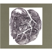 No Answer - Lower Floors