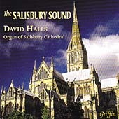 (The) Salisbury Sound (The) Salisbury Sound