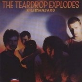 Kilimanjaro Kilimanjaro