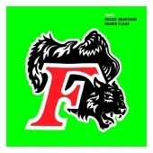 Bigger Mountains Higher Flags