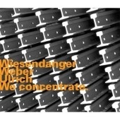 Chris Wiesendanger & Christian Weber/Dieter Ulrich/We Concentrate[626]
