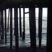 If Only A Sweet Surrender To The Nights To Come Be True