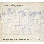 We Just Did What Happened and No One Came