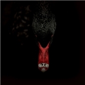 Mannerfreundschaften und Metaphysik Mannerfreundschaften und Metaphysik