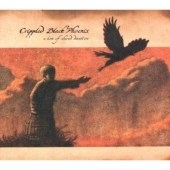 Love Of Shared Disasters, A