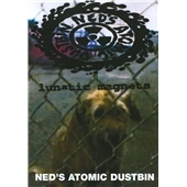 Lunatic Magnets Lunatic Magnets