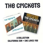Collection, The/California Sun - She Loves You
