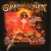 Healing Through Fire (+DVD)