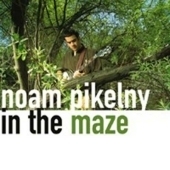 Noam Pikelny/In the Maze[4386]