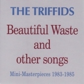 Beautiful Waste And Other Songs (Mini-Masterpieces 1983-1985)