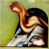 Camel